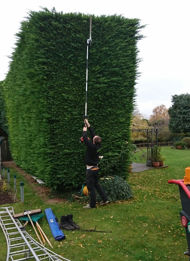 tree surgeon on the ground using hedge trimmer on a pole