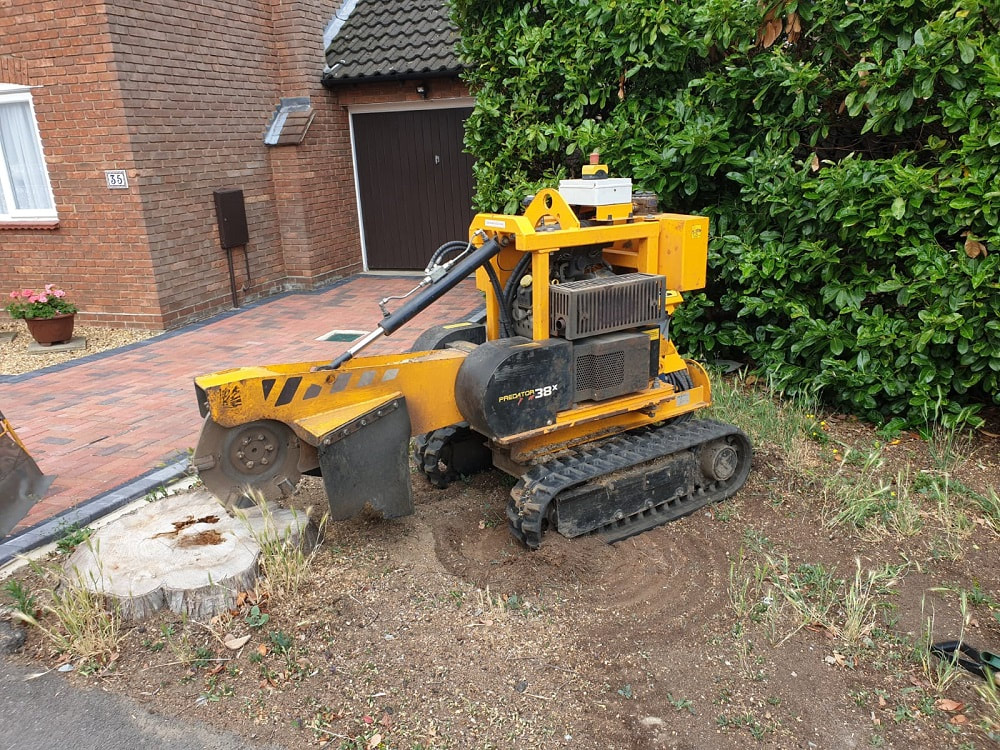 Tree stump in from front garden being removed by Tree Surgeon Essex and their stump grinding machine