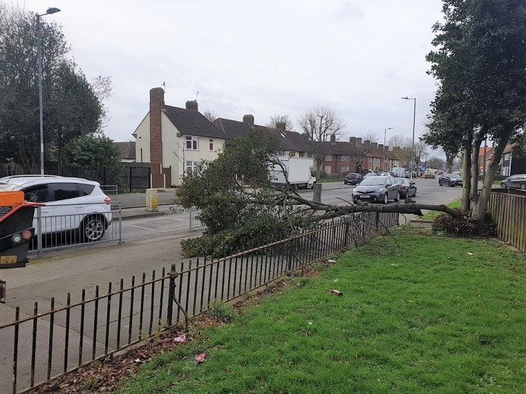 fallen tree across the pavement-Emergency tree services by tree surgeon essex