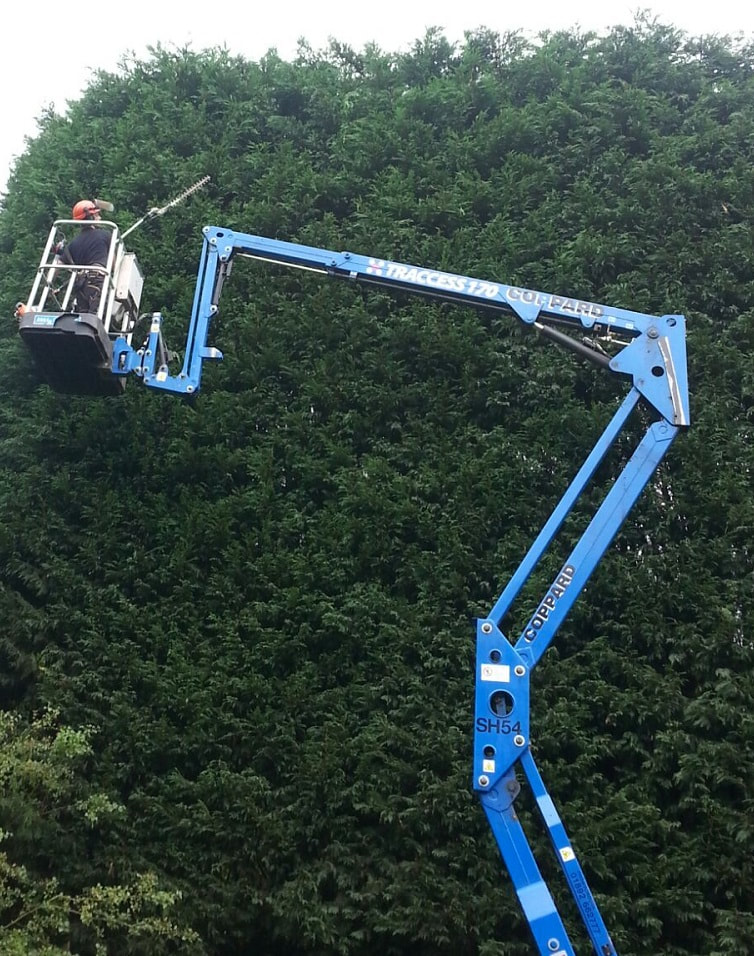 large crane, with person in a cage, being used to cut a very large hedge
