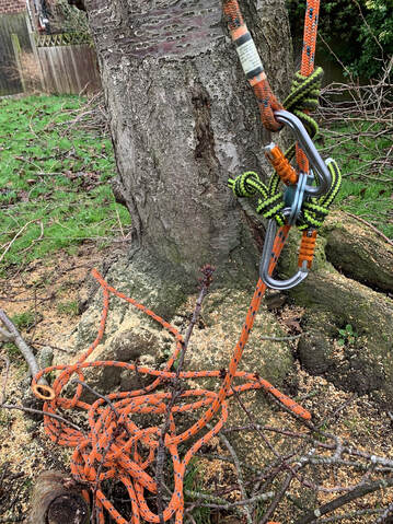 ropes and harnesses used by a tree surgeon_tree surgeon chingford
