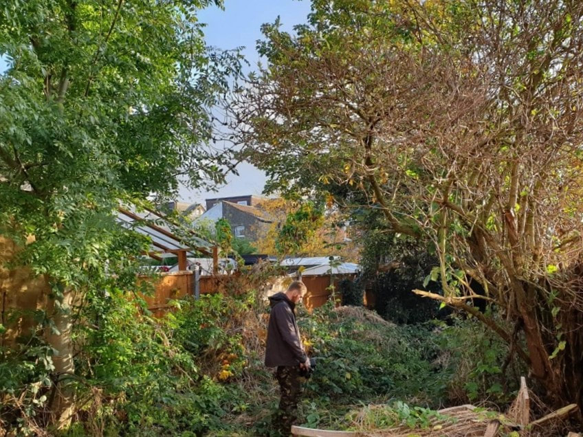 collapsed tree in garden-Emergency tree work