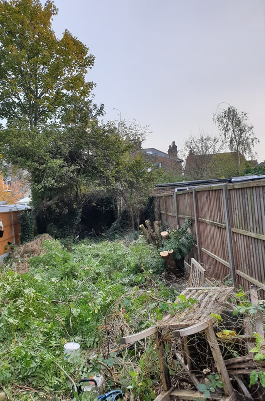 Site clearance of large garden in Essex