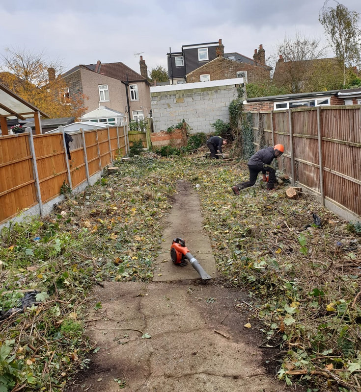 site clearance of a large rear garden
